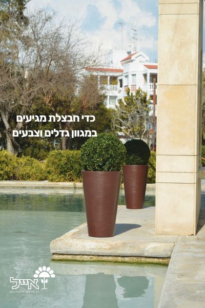 כד חבצלת | 50X100 | גרניט