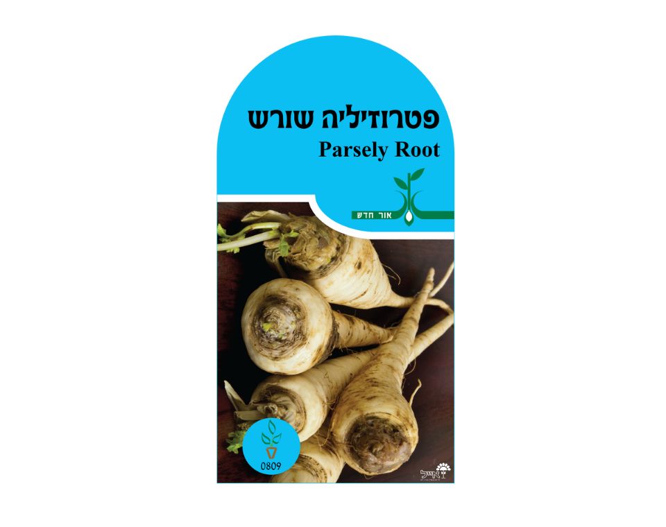 שורש פטרוזיליה | כ-200 זרעים