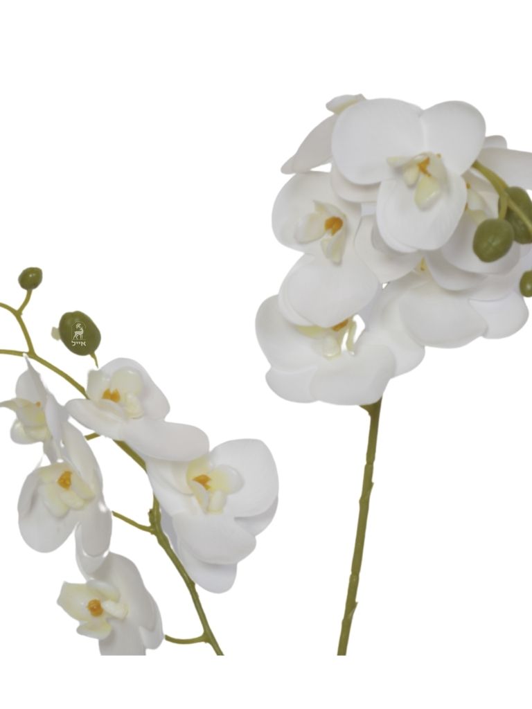 עץ סחלב מלאכותי | כולל כד זהב וכסף מרובע