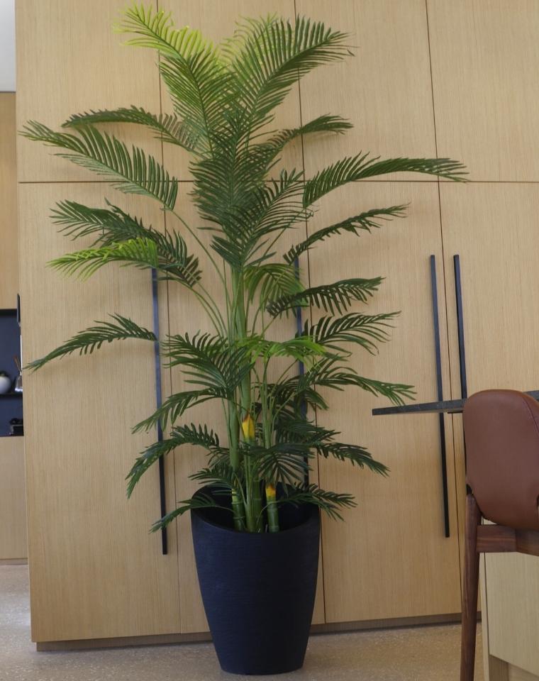 כד קליאופטרה | 54 ס״מ | דקל אריקה מלאכותי ענק