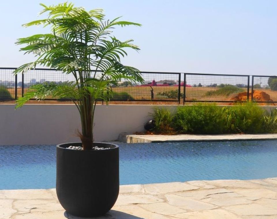 כד ביצה | קוטר 60 ס״מ | דקל מלאכותי