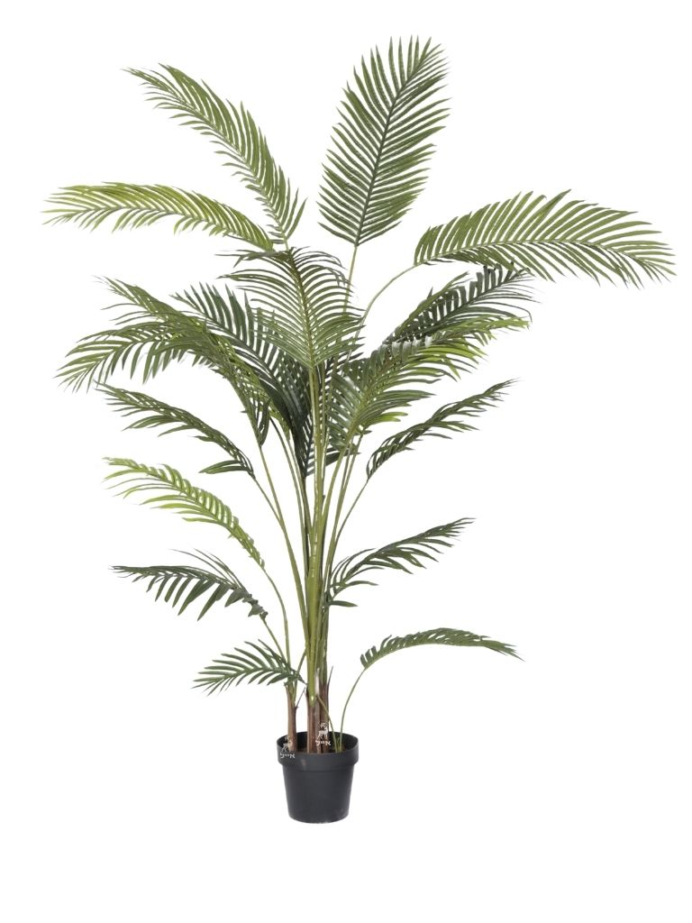 עציץ דקל מלאכותי | גובה 185 ס״מ