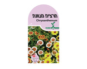 תערובת חרציות | כ-20 זרעים