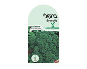ברוקולי | כ-80 זרעים - משתלת אייל