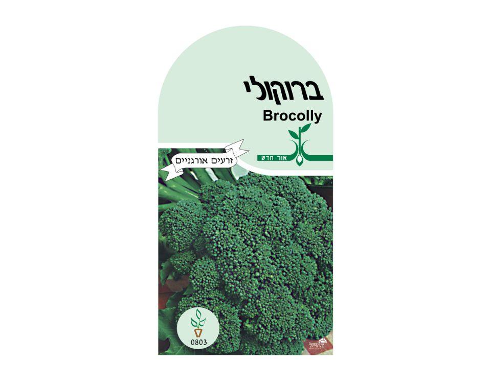 ברוקולי | כ-80 זרעים - משתלת אייל