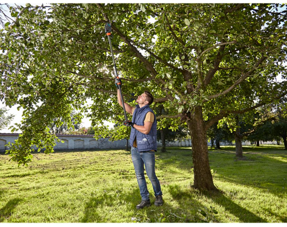 מזמרת גובה | גובה 160-350 ס"מ | דגם SratCat 160 plus