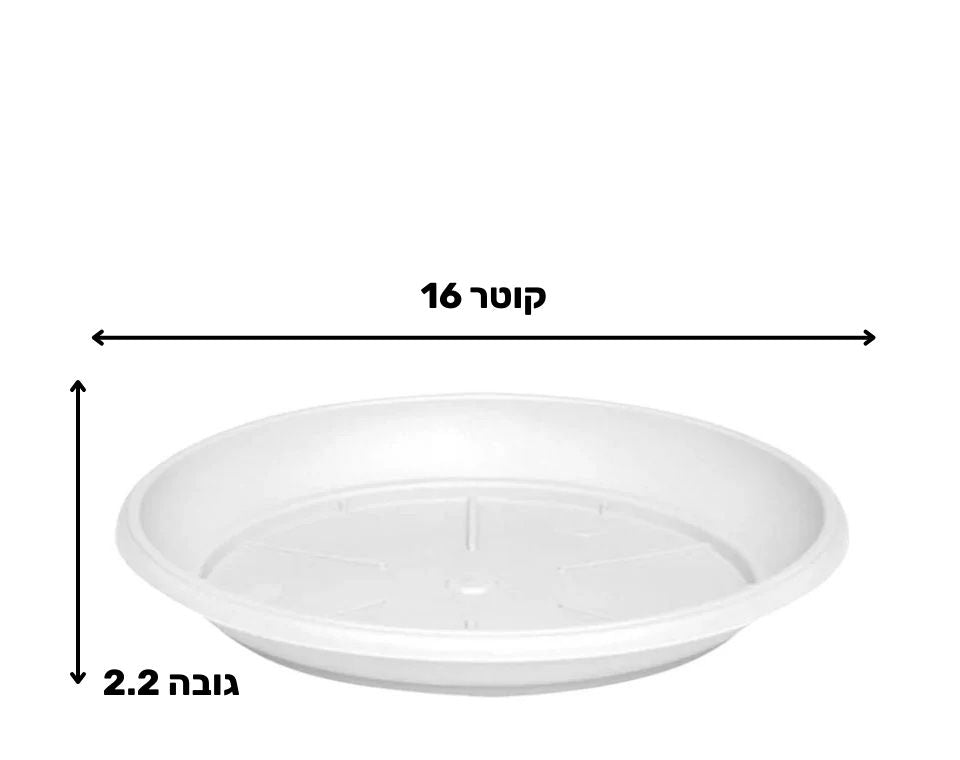 צלחת ערד | תחתית בקוטר 16 ס"מ | גובה 2.2 ס"מ | לבן