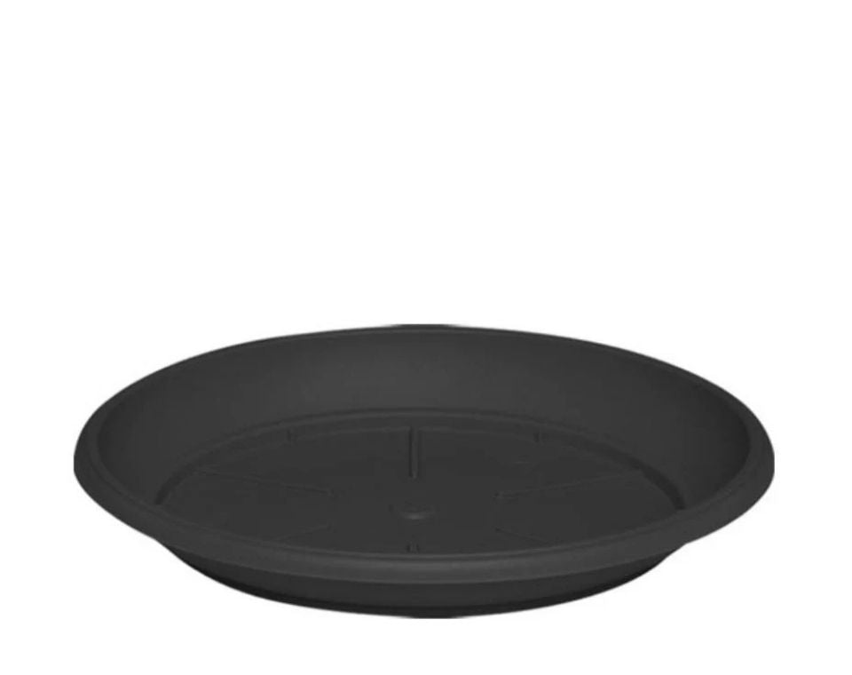 צלחת ערד | תחתית בקוטר 27 ס"מ | גובה 3.5 ס"מ | פחם