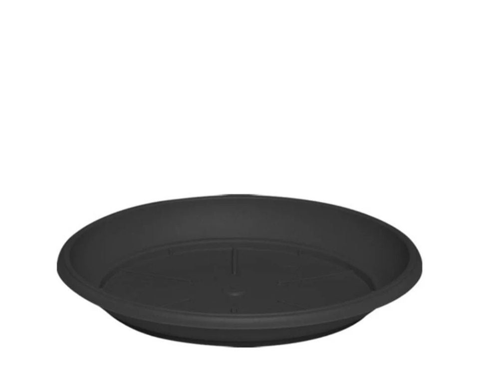 צלחת ערד | תחתית בקוטר 18 ס"מ | גובה 2.2 ס"מ | פחם