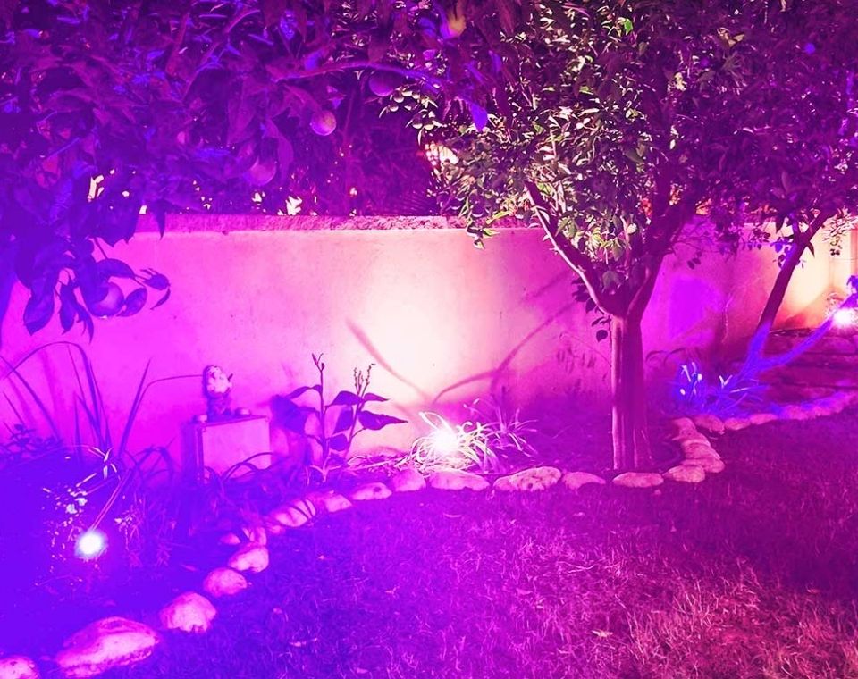 דקר תאורת גינה LED 8W IP54 | אור סגול | 230V | גוף אפור