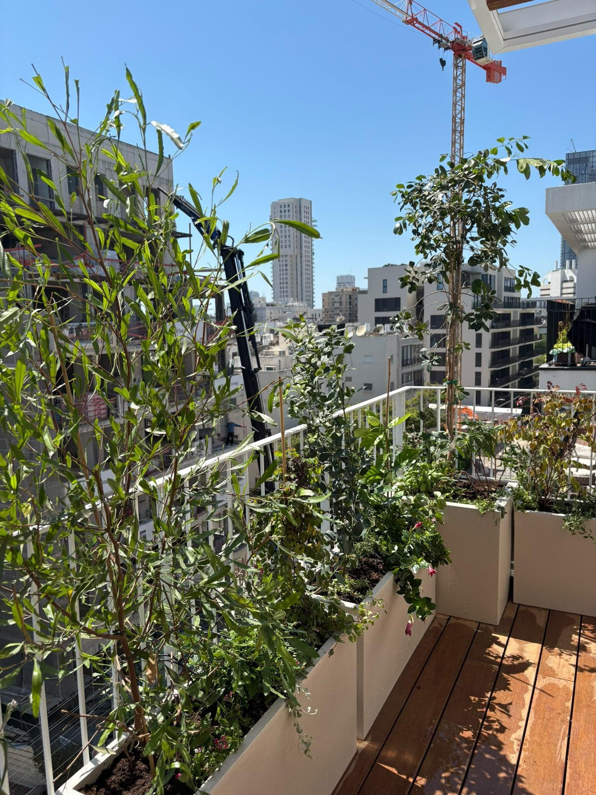 מרפסת בסגנון מודרני ים תיכוני | אדניות וכדי רוטו גבוהים בצבע לבן | תל אביב