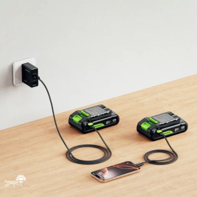 סוללה נטענת | יציאת USB-C דו-כיוונית | Greenworks PA800 | 24V | 8Ah