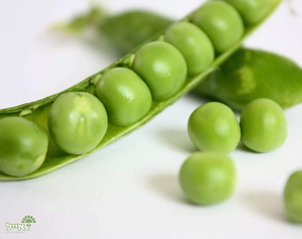 אפונת גינה | 10 זרעים
