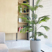 כד אגס | 47 ס״מ | צמח דקל קנציה מלאכותי