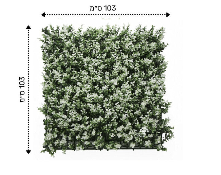 קיר ירוק מתכוונן - פרח לבן |50/50 ס״מ