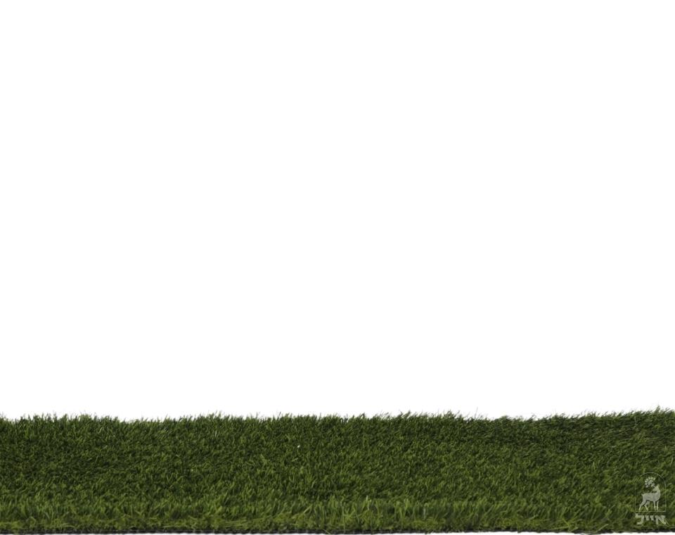 דשא סינטטי ירוק לגינה, צילום תקריב עם רקע לבן, מתאים לבית ולחצר