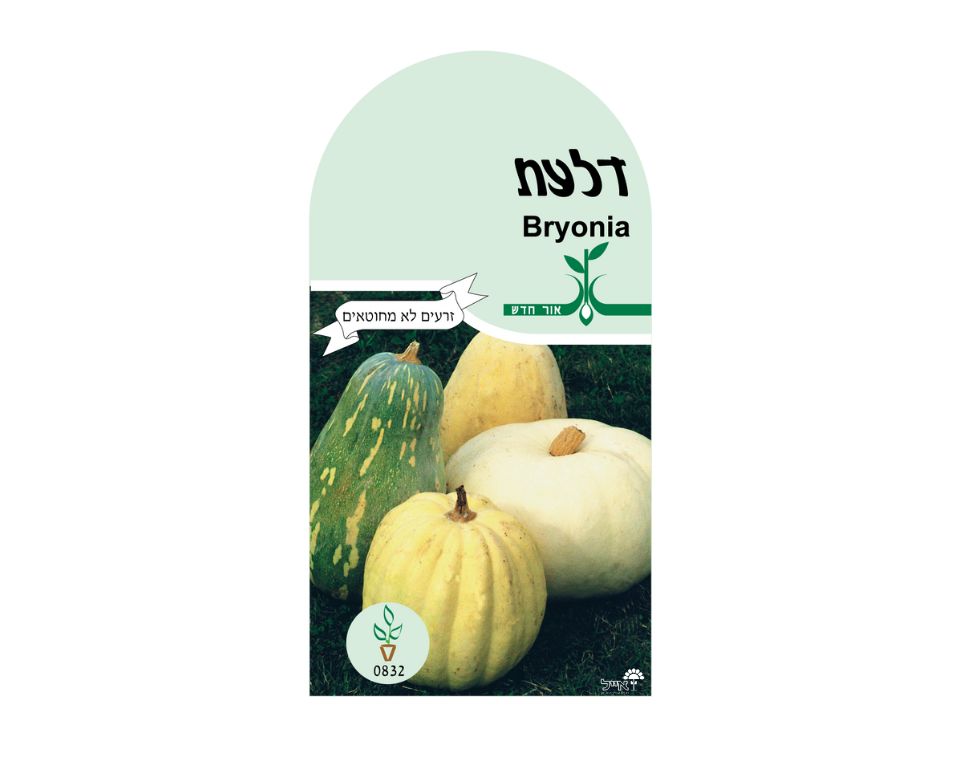 דלעת | 10 זרעים