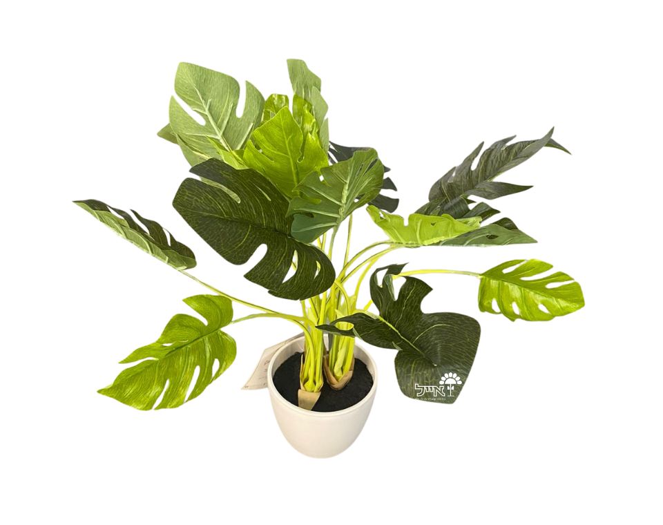 מונסטרה מלאכותית | 47 ס"מ | כד לבן