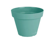 עציץ אביב | מנטה | קוטר 20 ס"מ