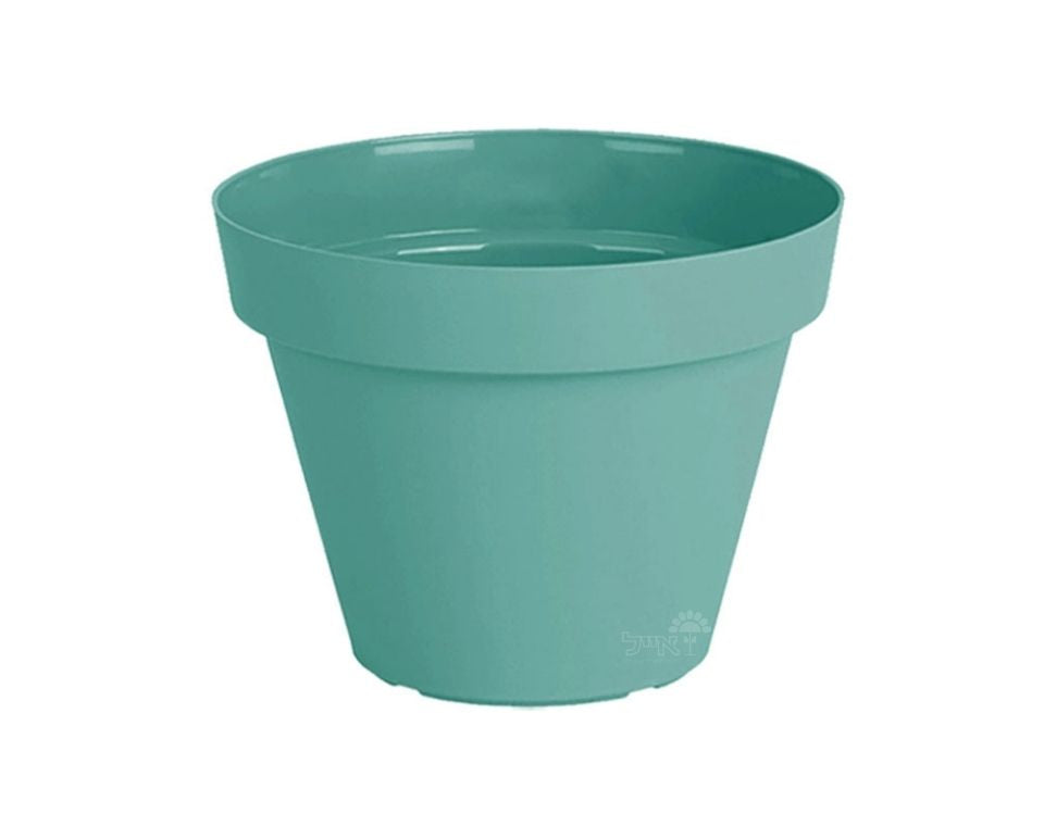 עציץ אביב | מנטה | קוטר 20 ס"מ