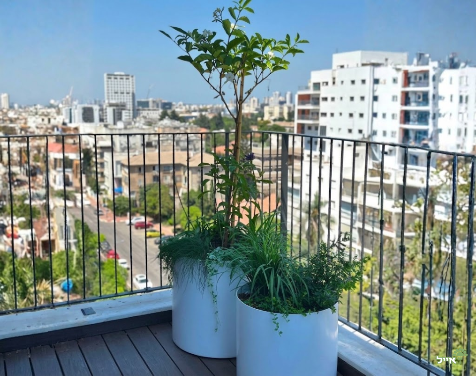 מרפסת בסגנון אורבני מודרני | אדניות וכדי אלומיניום בעיצוב אישי | רחובות