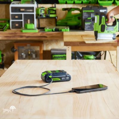 סוללה נטענת | יציאת USB-C דו-כיוונית |  Greenworks BA2460CA1 POWERALL | 24V | 6Ah