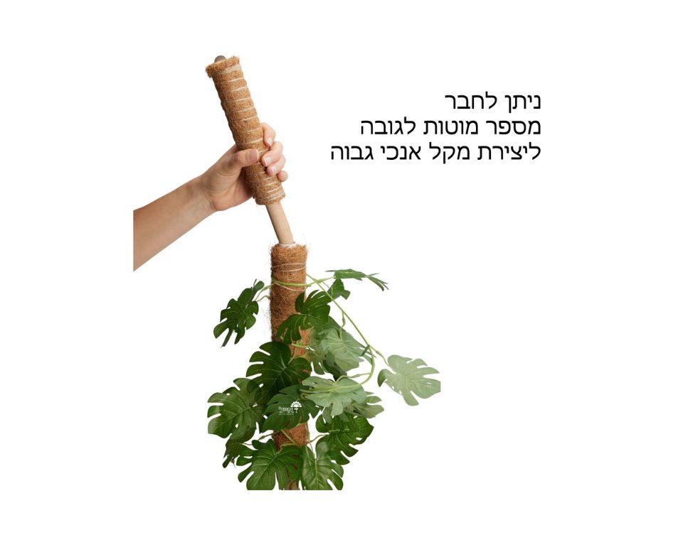 סט 4 מוטות תמיכה מסיבי קוקוס לצמחים |  30 ס"מ