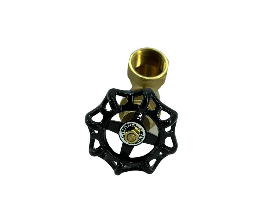 ברז אלכסוני | ברונזה | פנים "1