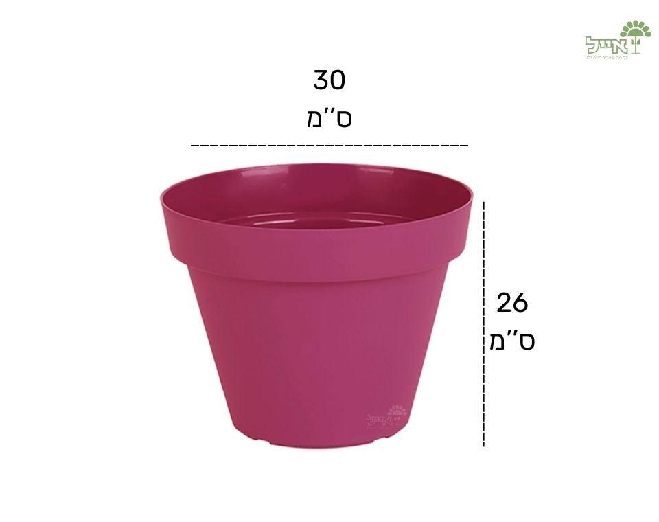 עציץ אביב | ורוד עתיק | קוטר 30 ס"מ - משתלת אייל
