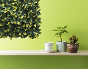 קיר ירוק מתכוונן - קצוות צהובים| 50/50 ס״מ