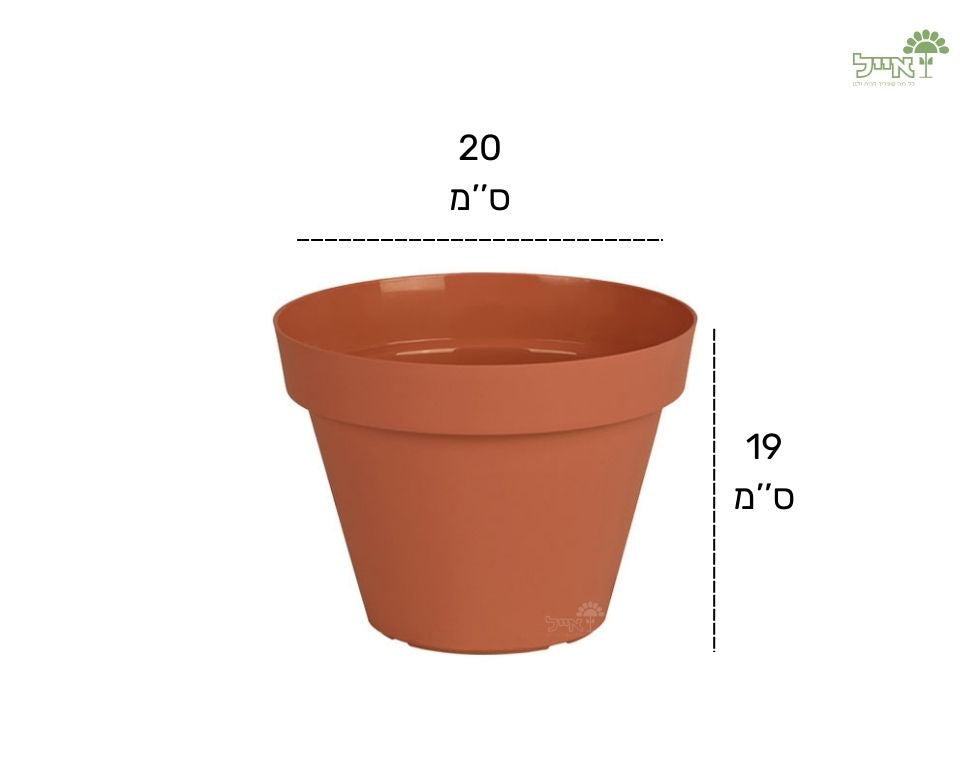 עציץ אביב | טרקוטה | קוטר 20 ס"מ