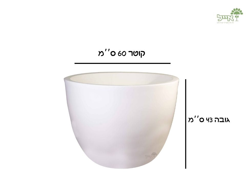 קערת רקפת | 60X43 ס''מ | לבן