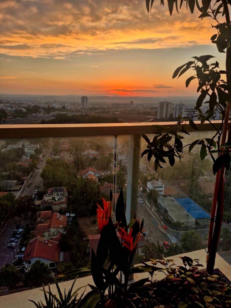 מרפסת בסגנון מודרני יוקרתי | אדניות רוטו גבוהות בצבע פחם | רמת השרון