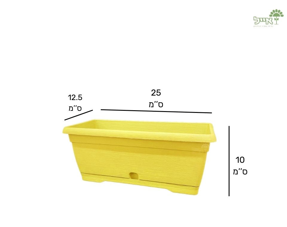 אדנית צבר | צהוב | 25 ס״מ