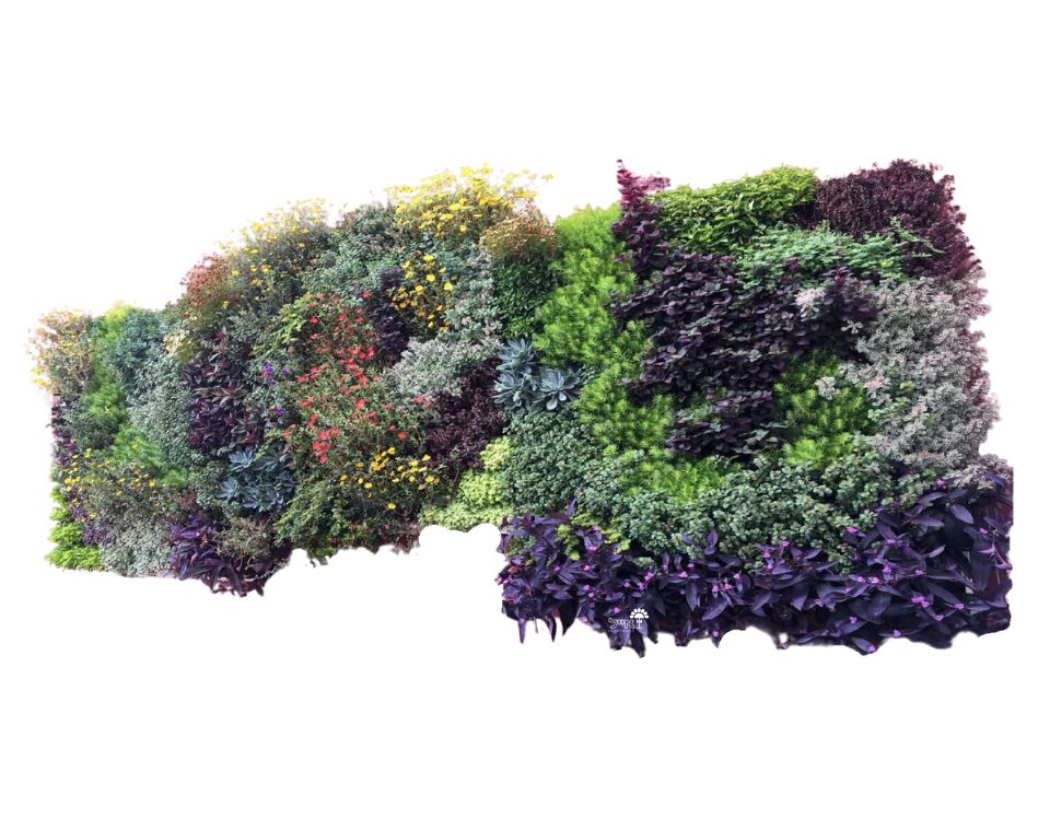 קיר ירוק מערכת מודולרית אורגני | 72 תאים