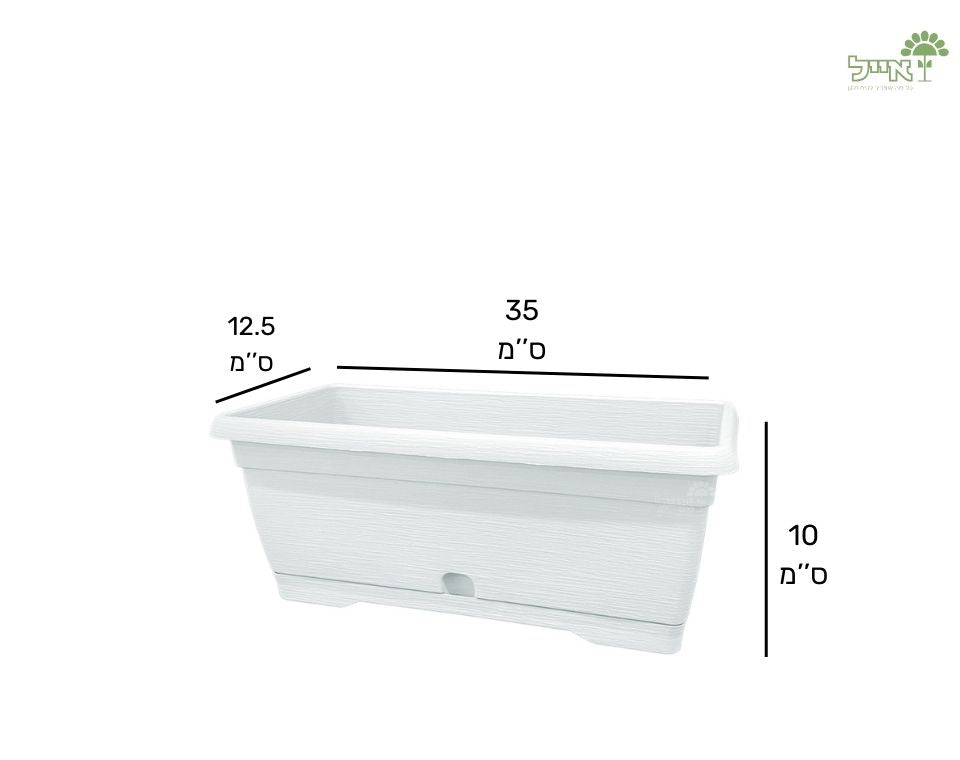 אדנית צבר | לבן | 35 ס״מ