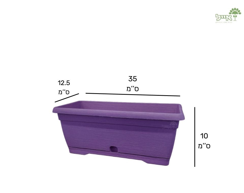 אדנית צבר | סגול | 35 ס״מ