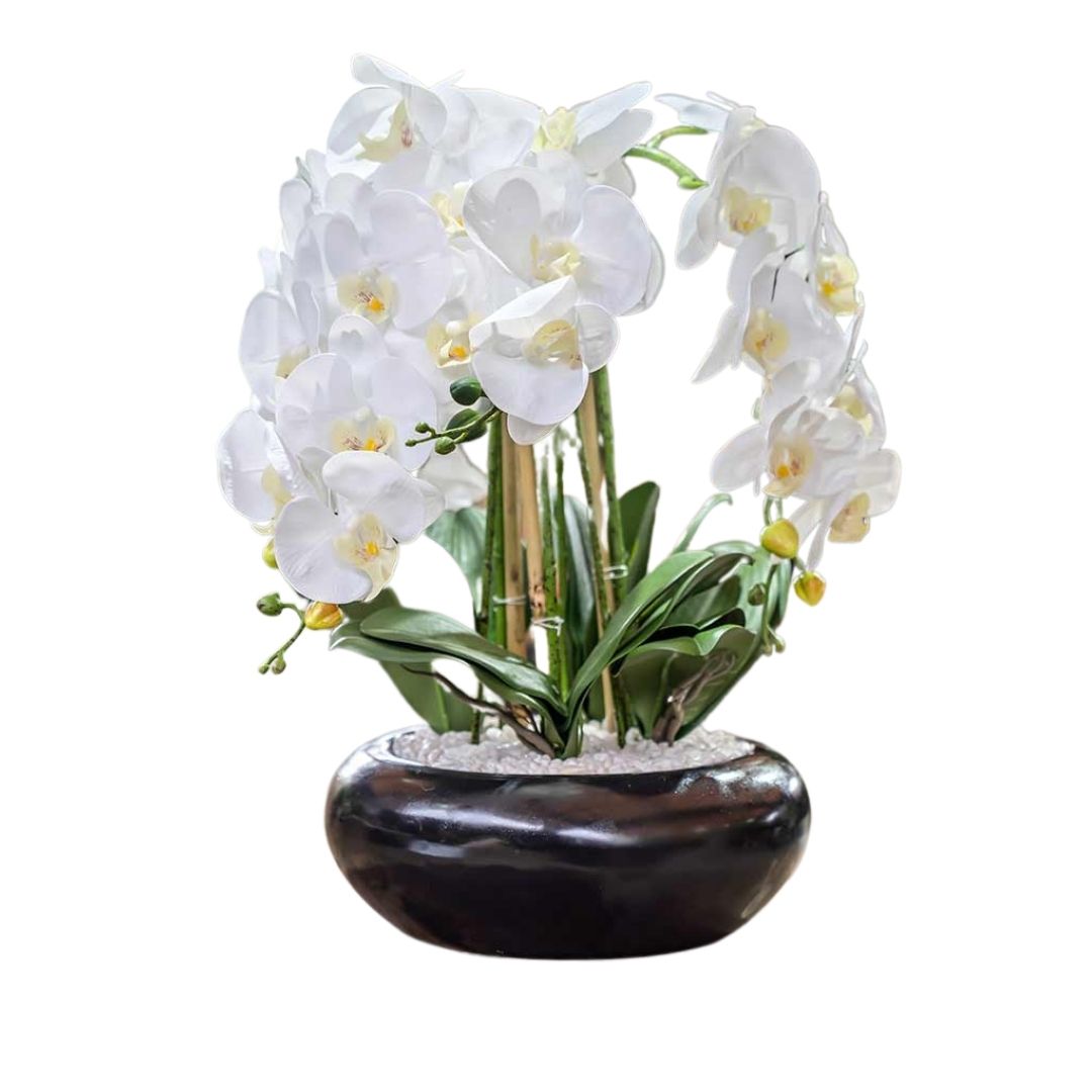 עציץ סחלב מלאכותי בקערה שחורה