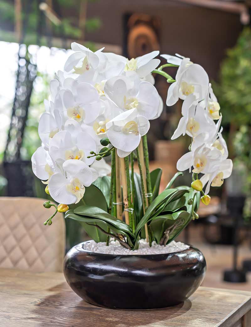 עציץ סחלב מלאכותי בקערה שחורה