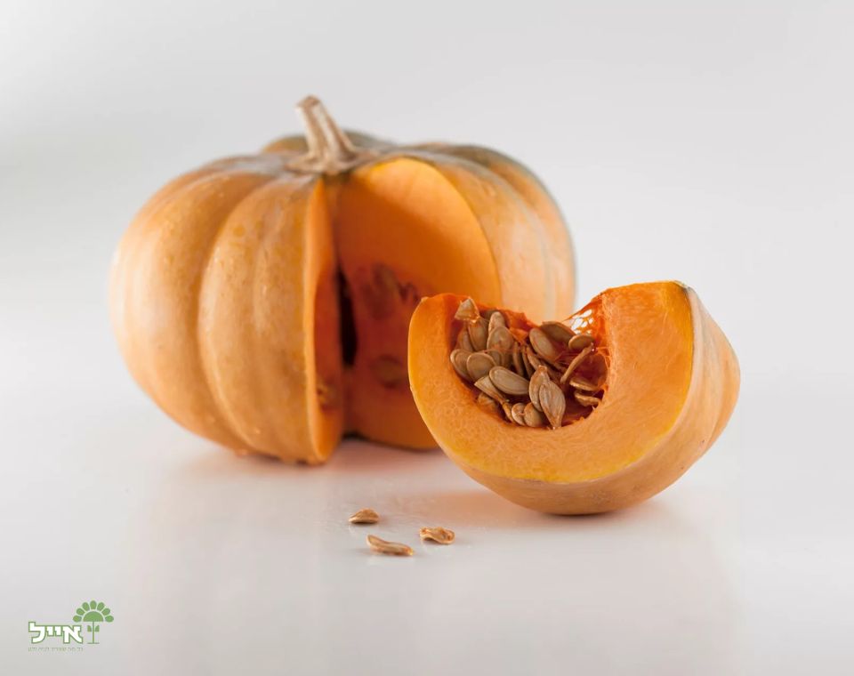 מיקס דלעות | 10 זרעים