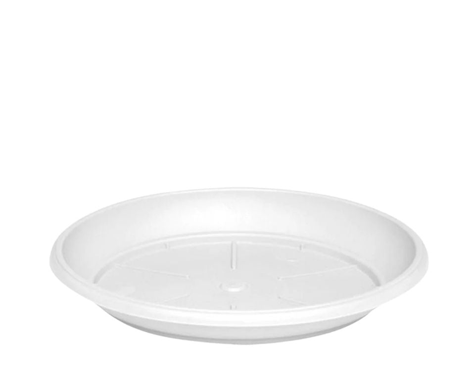 צלחת ערד | תחתית בקוטר 22 ס"מ | גובה 3 ס"מ | לבן