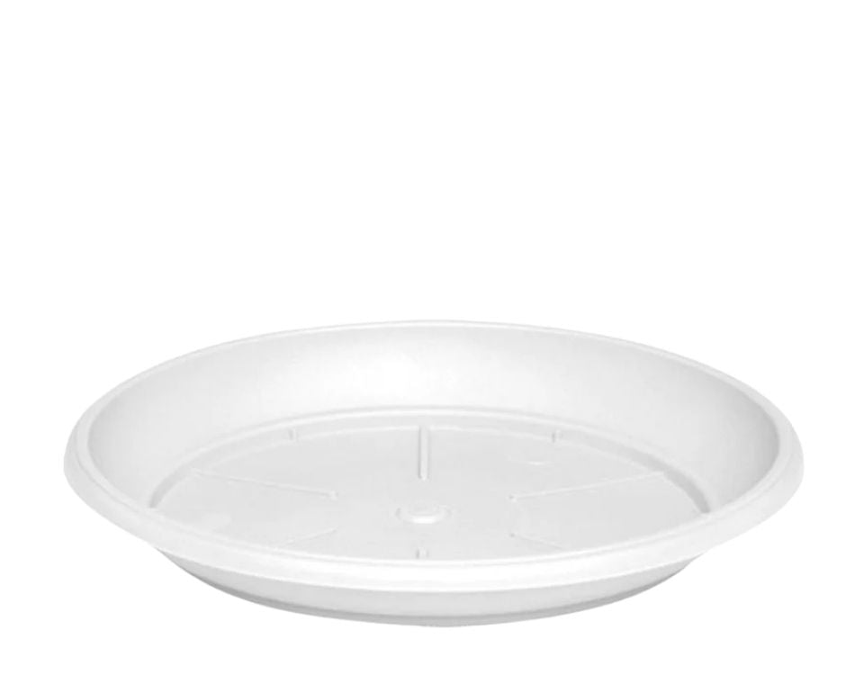 צלחת ערד | תחתית בקוטר 62 ס"מ | גובה 6.5 ס"מ | לבן