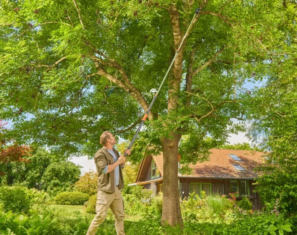 מזמרת גובה | גובה 175-650 ס"מ | StarCut Pro - משתלת אייל