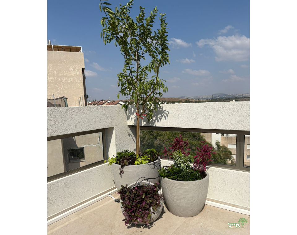 מרפסת בסגנון ים תיכוני מודרני | כדי בז׳ ושמנת שונים בעיצוב מקצועי | מודיעין