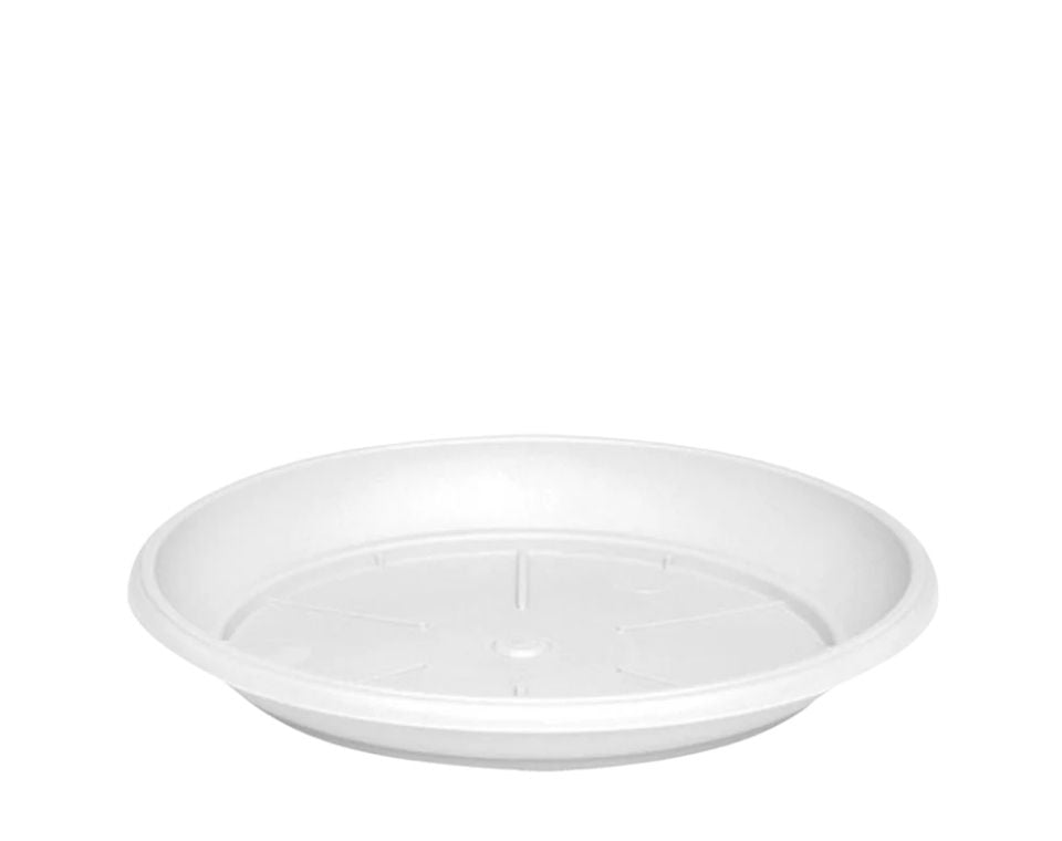 צלחת ערד | תחתית בקוטר 12 ס"מ | גובה 1.8 ס"מ | לבן