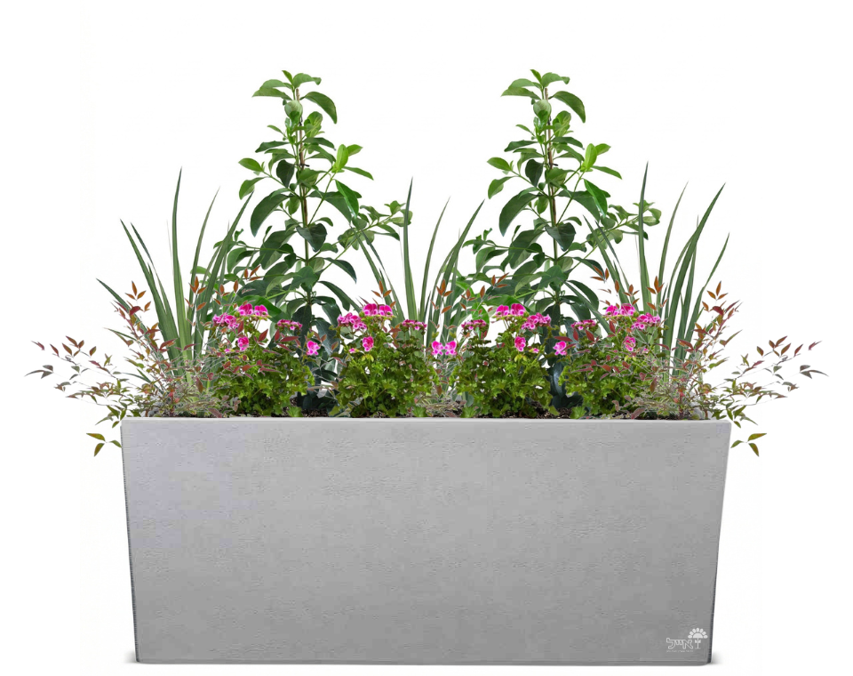 אדנית מוכנה עם צמחיה | 2 מורן מבריק, 3 דיאטס, 8 גרניום ו-6 ננדינה תרבותית | 5 צבעים לבחירה | 99.5X39.5X60