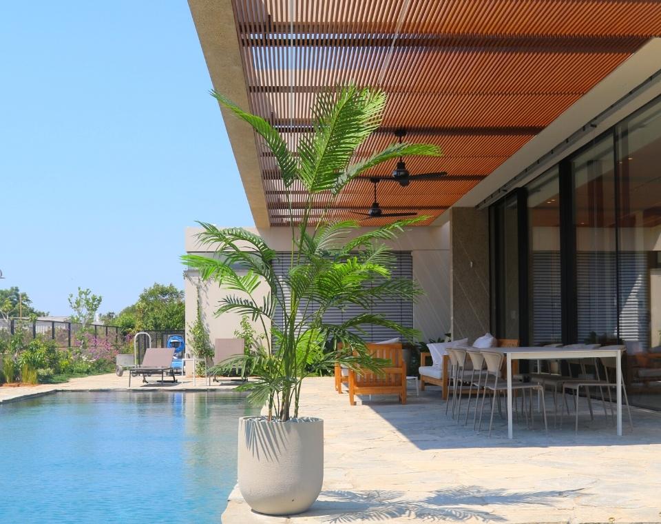 כד אגס | 47 ס״מ | צמח דקל קנציה מלאכותי