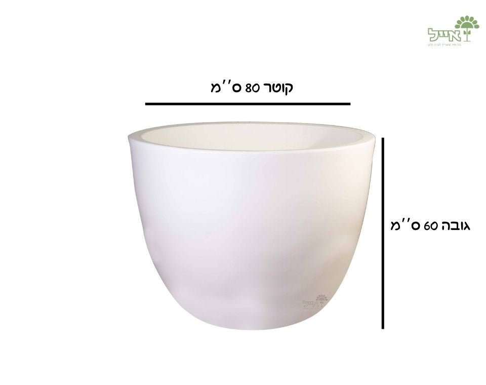 קערת רקפת | 80X60 ס''מ | לבן