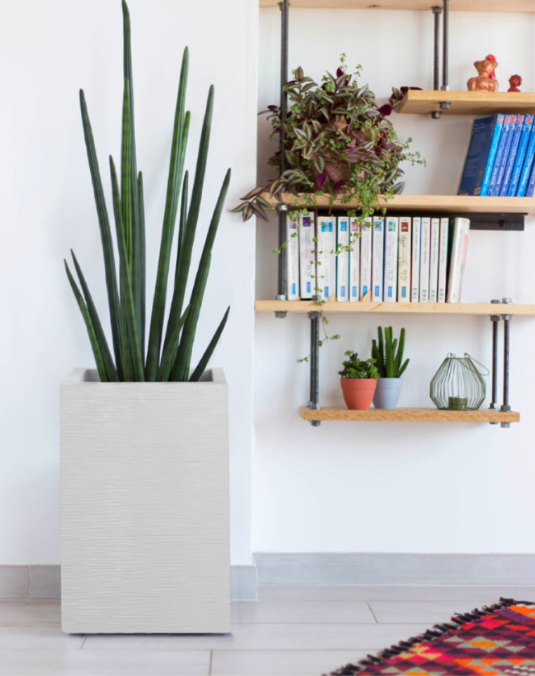 אדנית פסים | מידות 29.5X29.5X49.5 | לבן