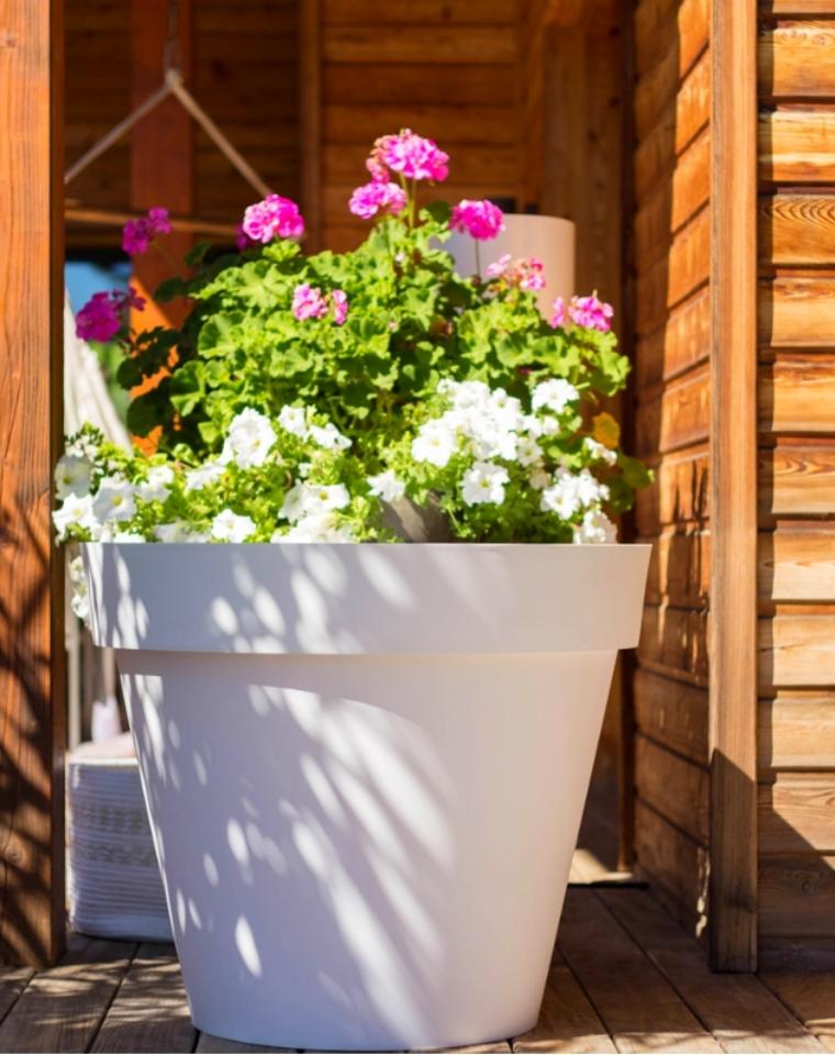 מיכל שתילה TUSCAN | קוטר 80 ס"מ | 170 ליטר | לבן